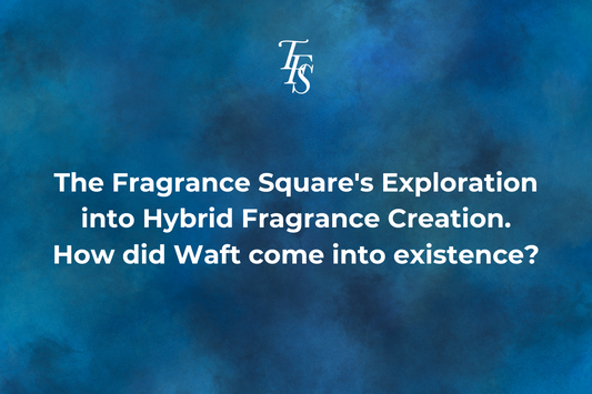 Looking for Affordable Fragrances for Daily Wear? Discover Our Day-to-Day Series!