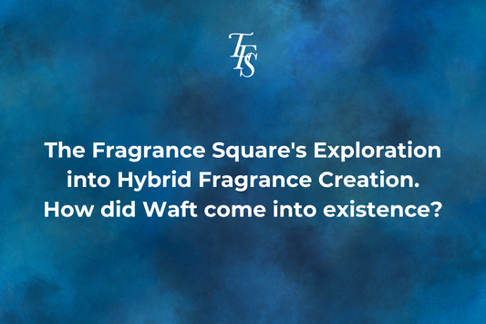 Looking for Affordable Fragrances for Daily Wear? Discover Our Day-to-Day Series! - The Fragrance Square